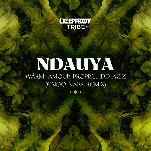 Warm, Enoo Napa, Idd Aziz, Amour Propre - Ndauya - Enoo Napa Remix - Extended Mix [DRT028EM]